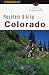 Mountain Biking Colorado