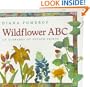 Wildflower ABC: An Alphabet of Potato Prints