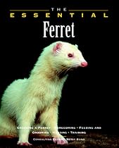 The Essential Ferret (Essential Guide)