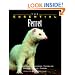 The Essential Ferret (Essential Guide)