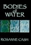Bodies of Water