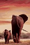 71ZHByMpSWL. SL160  Elephant Safari LTD and calf laminated poster