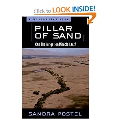 Pillar of Sand: Can the Irrigation Miracle Last? (Environmental Alert Series)