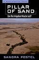 Pillar of Sand: Can the Irrigation Miracle Last?