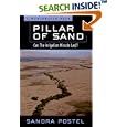 Pillar of Sand: Can the Irrigation Miracle Last? by Sandra Postel