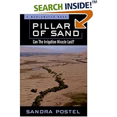 Pillar of Sand: Can the Irrigation Miracle Last?
