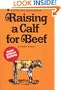 Raising a Calf for Beef
