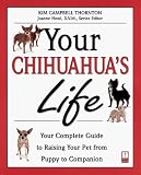 Your Chihuahua's Life: Your Complete Guide to Raising Your Pet from Puppy to Companion
