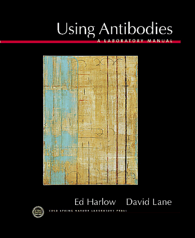 Antibodies