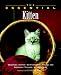 The Essential Kitten (Howell Book House's Essential)