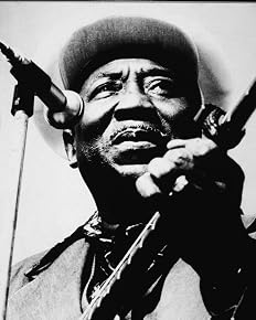 Image of Muddy Waters