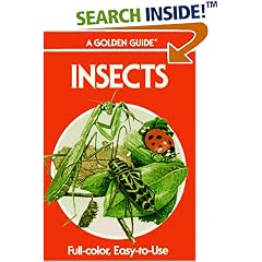 Insects: A Guide to Familiar American Insects (Golden Guides)