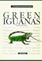 Green Iguanas: A Complete Authoritative Guide