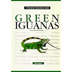 Green Iguanas: A Complete Authoritative Guide