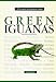 Book Green Iguanas: A Complete Authoritative Guide