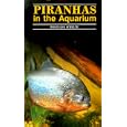 Piranhas in the Aquarium by Wolfgang Schulte