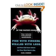 At the Water's Edge : Fish with Fingers, Whales with Legs, and How Life Came Ashore but Then Went Back to Sea