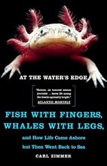 At the Water's Edge : Macroevolution and the Transformation of Life