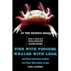 At the Water's Edge: Fish with Fingers, Whales with Legs...