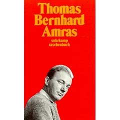 Amras (suhrkamp taschenbuch)