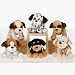 Stuffed Animals 7" 6 Assorted Sitting Dogs (pack Of 36) Pack of 36 pcs