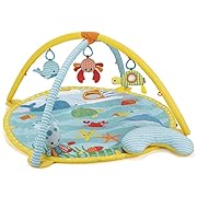 skip hop activity gym woodland friends