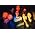 Thumbnail image of Nirvana