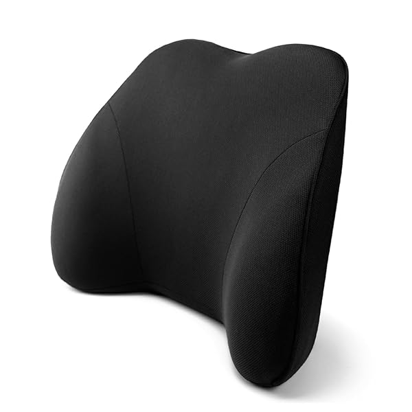 Mini Supportive Chair Cushion Lumbar Pillow Design For Lower Back