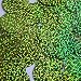 Round Flat Sequin 40mm Lime Green Hologram Glitter Sparkle. Couture Paillettes. Made in USA