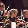Abbildung von South-West German Chamber Orchestra