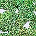 Round Flat Sequin 20mm Center Hole Lime Green Hologram Glitter Sparkle. Couture Paillettes. Made in USA
