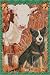 Pipsqueak Productions C998 Holiday Boxed Cards- Australian Cattle Dog