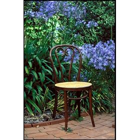 What's Behind the Empty Chair:  Gestalt Therapy Theory and Methodology [VHS]