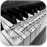 How To Play The Piano & Chords