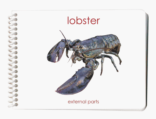 Crustaceans