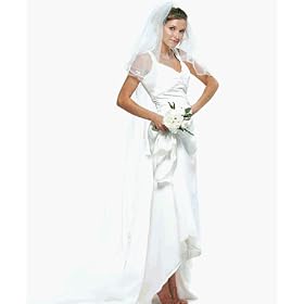 71awC0iVhJL. SL500 AA280  Scalloped Edge & Embroidery Veil