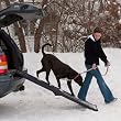 RAMPA PET GEAR FULL LENGTH BI-FOLD para MASCOTAS de 66 PULGADAS de LARGO