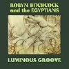 Luminous Groove