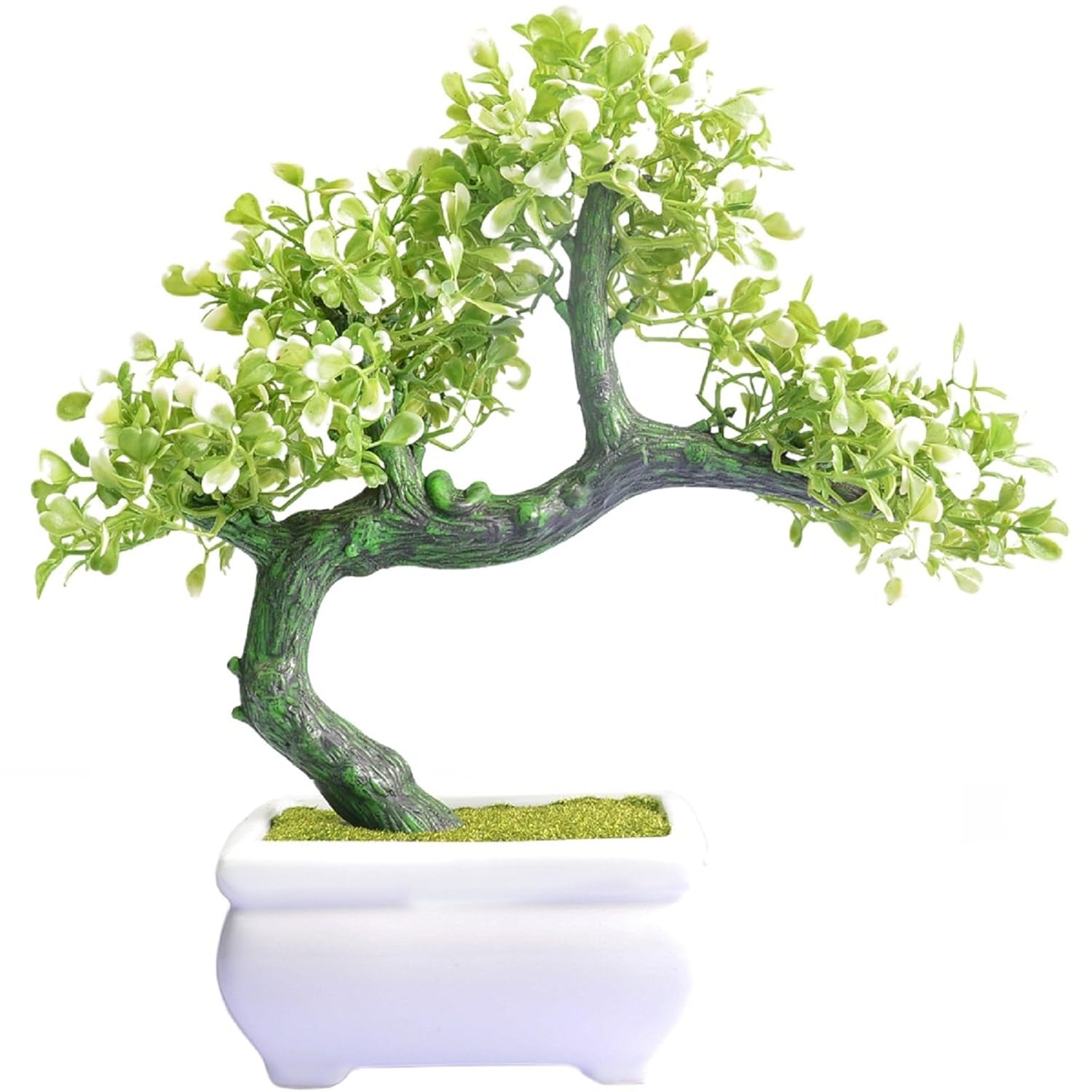 Natural and Artificial Cedar Bonsai Tree for Decoration