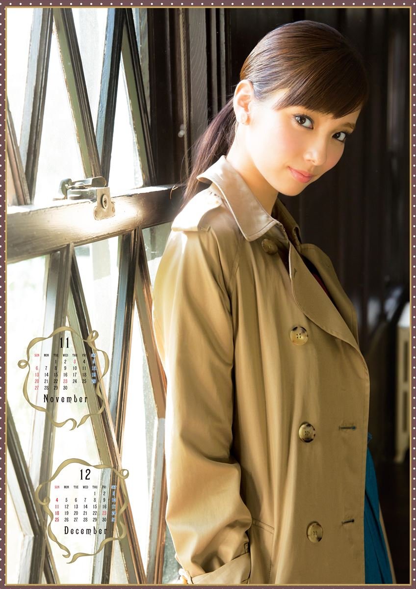 新川優愛 2016年 カレンダー 壁掛け B2 カレンダー 男を虜にする！極上美女25名の美しすぎる