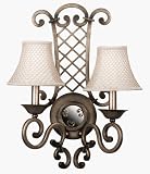 91462 DS Lattice