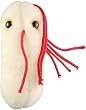 Salmonella Plush Doll