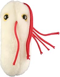 Salmonella Plush Doll