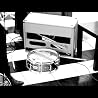 The Maine - Black and White