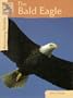 Returning Wildlife - The Bald Eagle