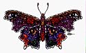Beautiful Stained Glass Butterfly on Clear Background with HIDDEN OBJECTS! Ankhs, Butterflies, Frogs, Moons, Roses & More! - Sticker / Decal