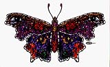 Beautiful Stained Glass Butterfly on Clear Background with HIDDEN OBJECTS! Ankhs, Butterflies, Frogs, Moons, Roses & More! - Sticker / Decal