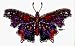 Beautiful Stained Glass Butterfly on Clear Background with HIDDEN OBJECTS! Ankhs, Butterflies, Frogs, Moons, Roses & More! - Sticker / Decal Image