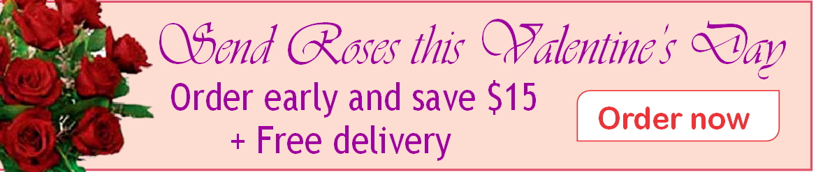 Valentine's Day Deal