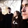 Image of Arsis